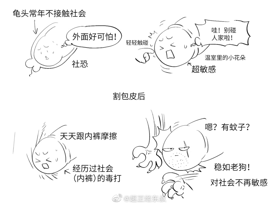 漫画科普贴：如何判断自己B皮的长短，以及潜在的优缺点